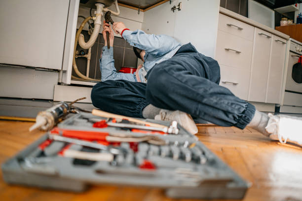 Best Emergency Plumbing Repair  in Cibecue, AZ