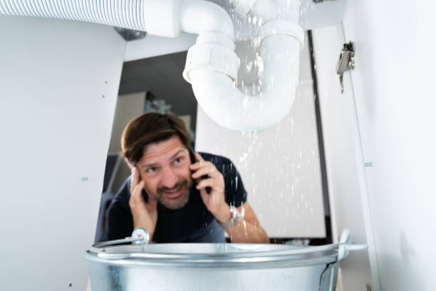Best Leak Detection Services  in Cibecue, AZ